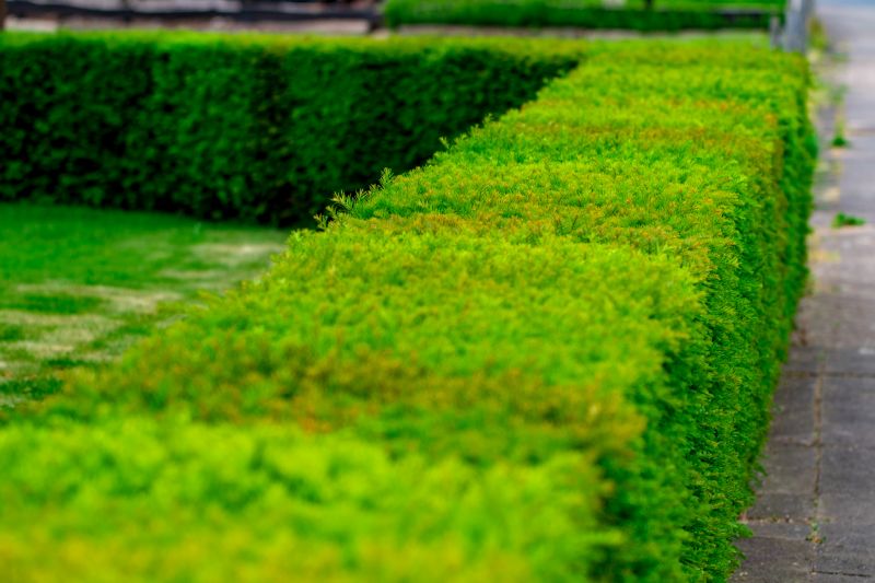 Size and Length of Hedge