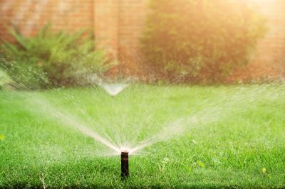 Lawn Sprinkler System