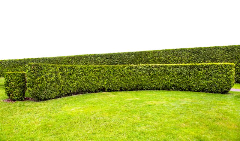 Finished Formal Hedge