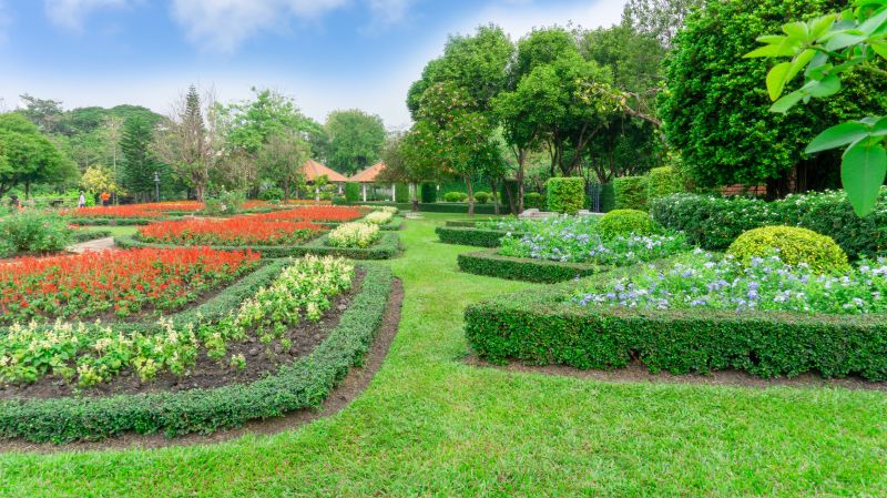Naturalistic Shrub Border
